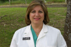 Fatemeh Z Samani, DDS