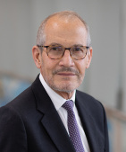 Dominique M. Jan, MD, PhD