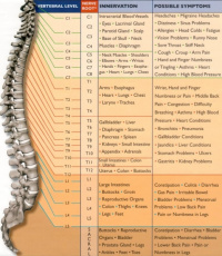 Provider Profile 2