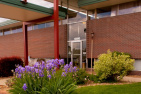 Dr. Frances F Engler, DDS