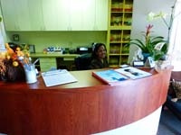 Provider Profile 11