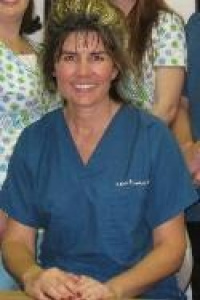 Provider Profile 0