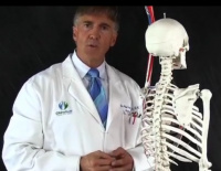Dr. Conklin Spinal Anatomy Lecture 3