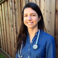 Provider Profile 0