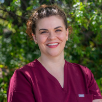 Provider Profile 0