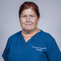 Provider Profile 1