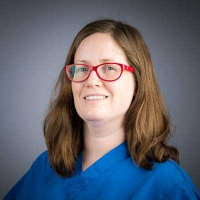 Provider Profile 1