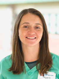 Provider Profile 0