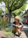 Dr. Luz Alanis, MA, LPC, Phd Candidate, AASECT Certified