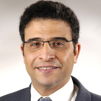 Hossein Elgafy