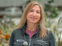 Provider Profile 0