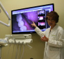 Dr. Beatrice B Lu, DDS