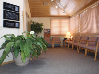 Provider Profile 0