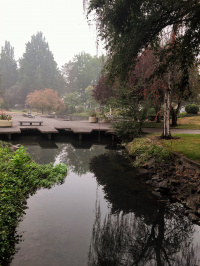 Our office looks out over Mill Stream and is conveniently located in downtown Salem. 2